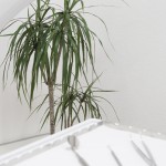 Behandlungsraum Detailaufnahme | Ganzheitliche Zahnarztpraxis Würzburg